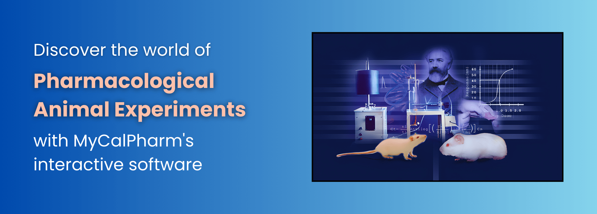 banner two for experiments