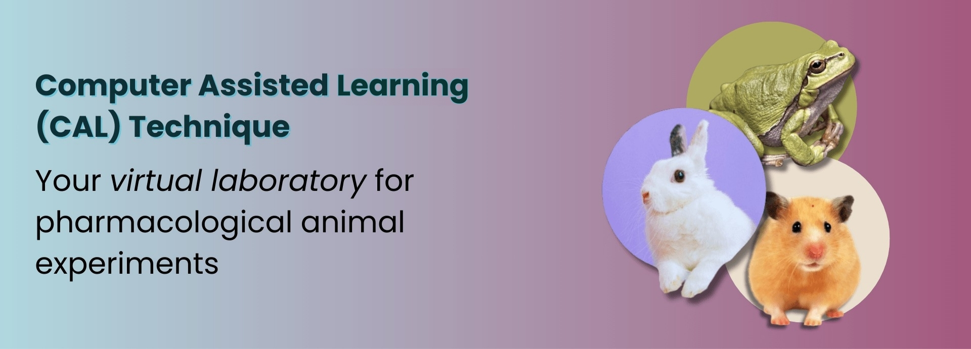 banner three for experiments