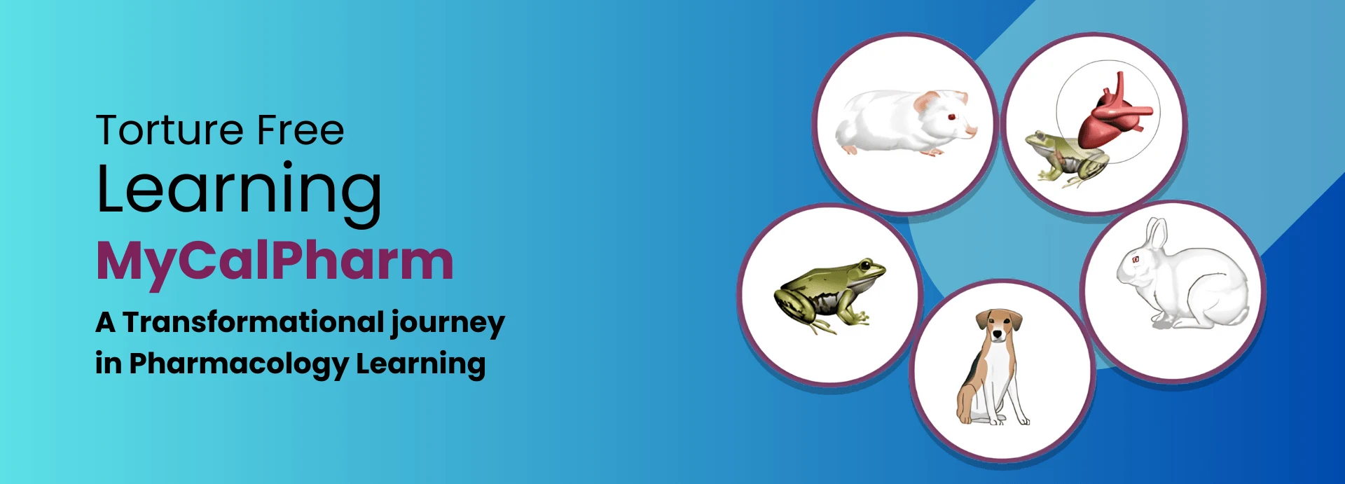 banner one for experiments